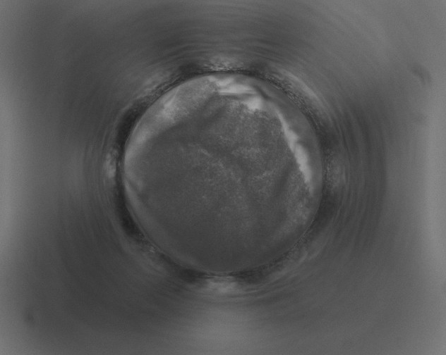 X0000116450214200912291954