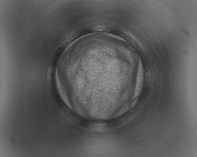 X0000116450217200912291954