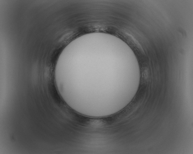 X0000116450218200912291953