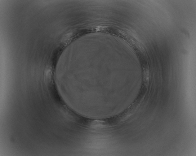 X0000116450222200912291953