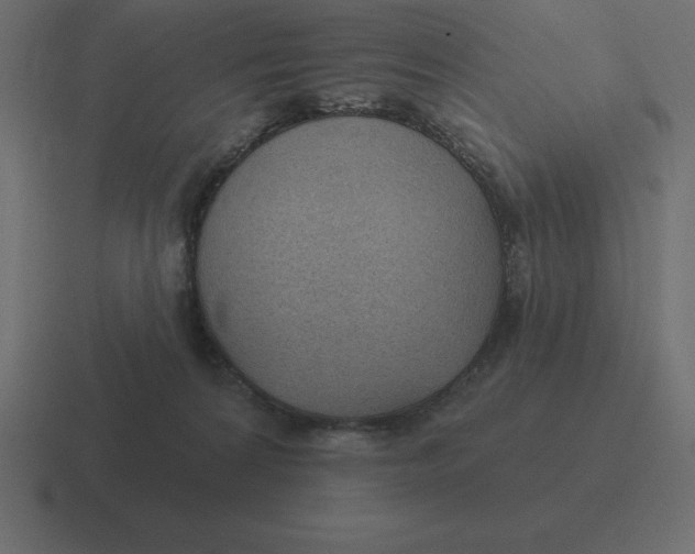 X0000116450224200912291953