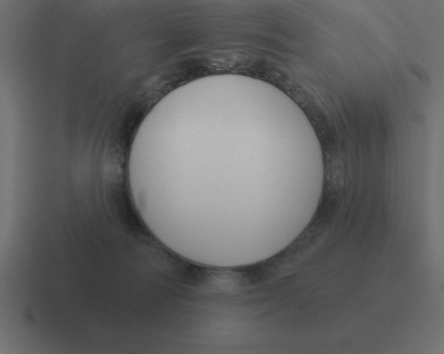 X0000116450226200912291953