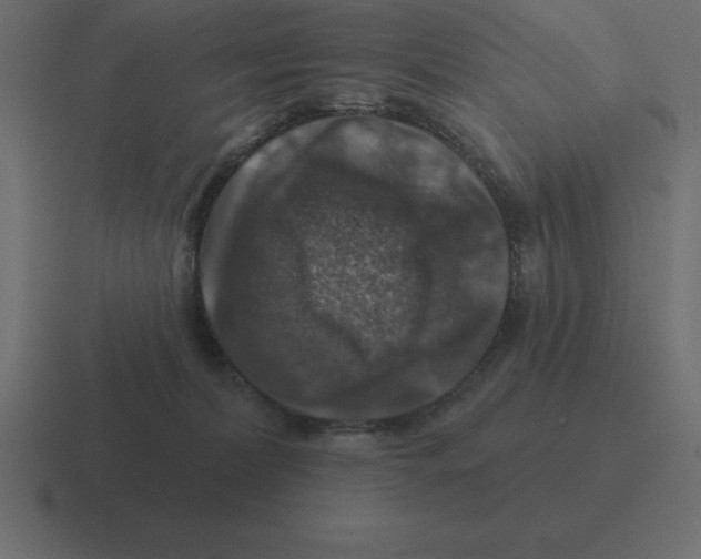 X0000116450228200912291953