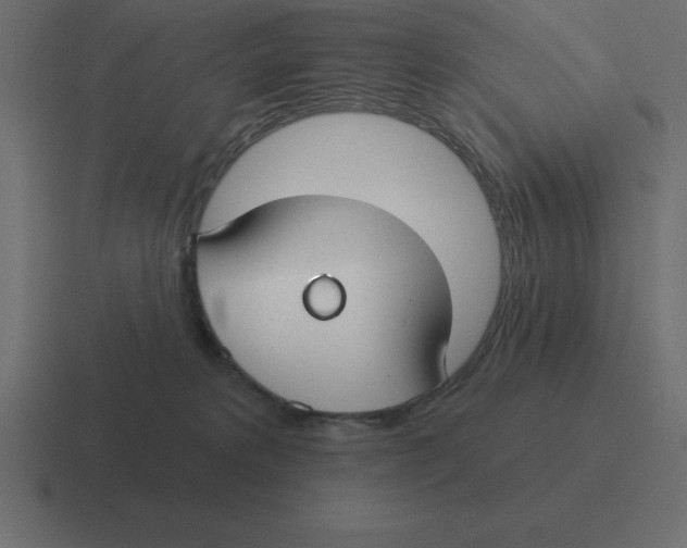 X0000116450229200912291953