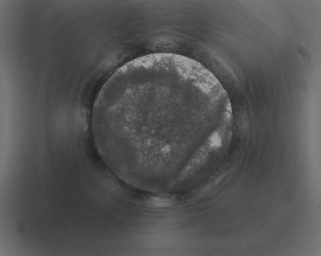 X0000116450232200912291953