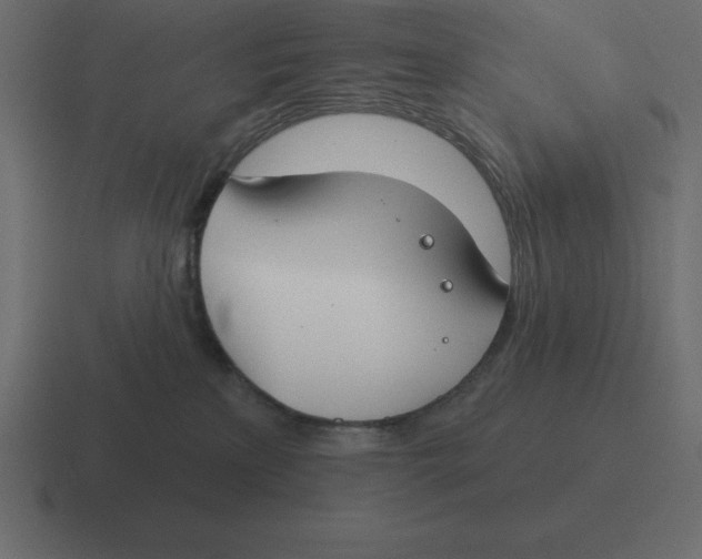 X0000116450233200912291953