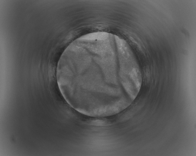 X0000116450236200912291953