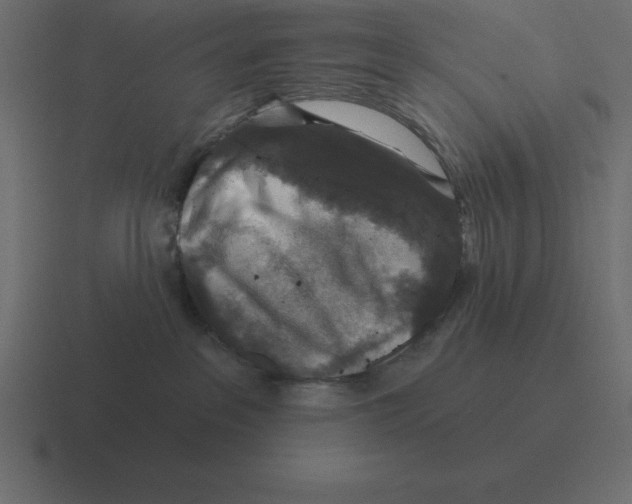 X0000116450237200912291953
