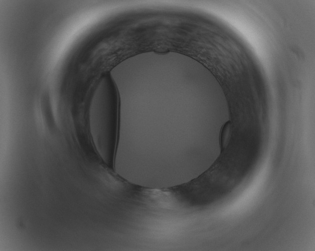 X0000116450239200912291953