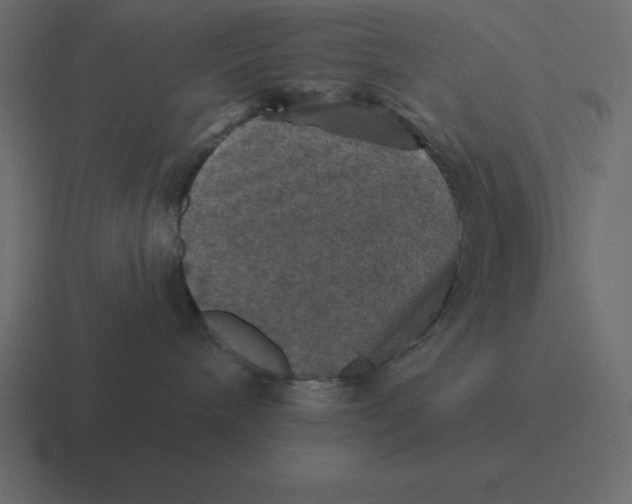 X0000116450240200912291953