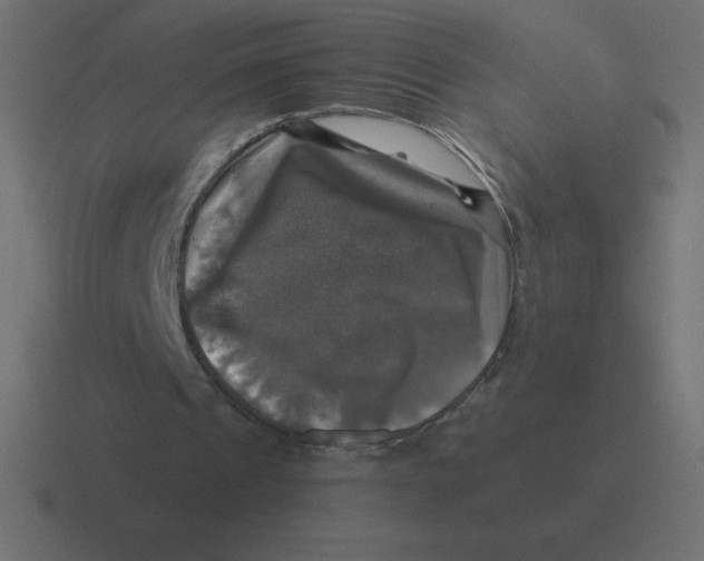 X0000116450241200912291953