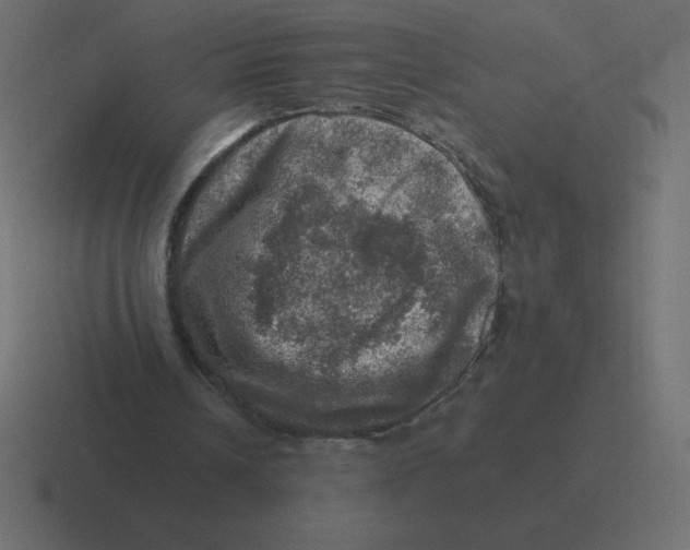 X0000116450242200912291953