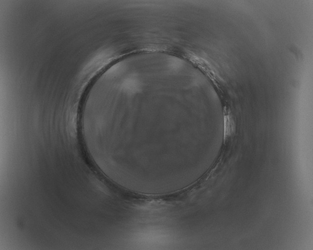 X0000116450243200912291953