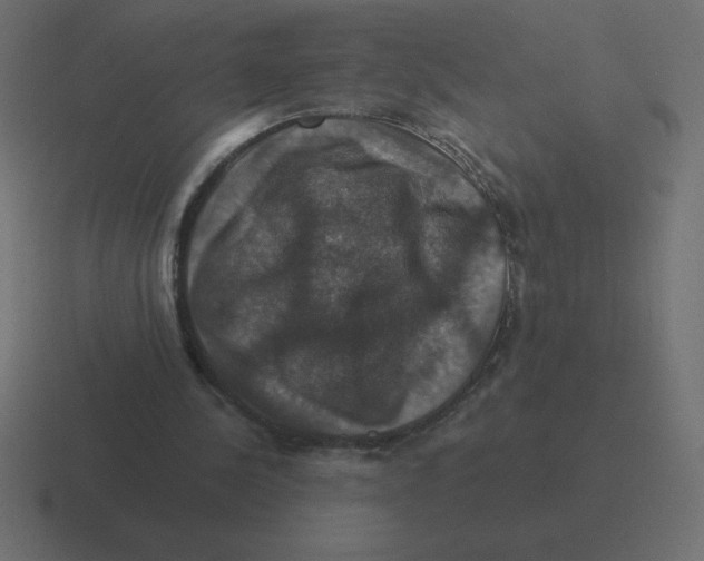 X0000116450244200912291953