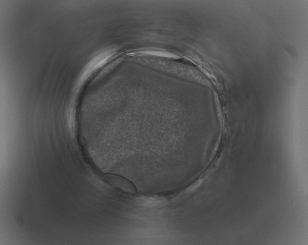 X0000116450245200912291953