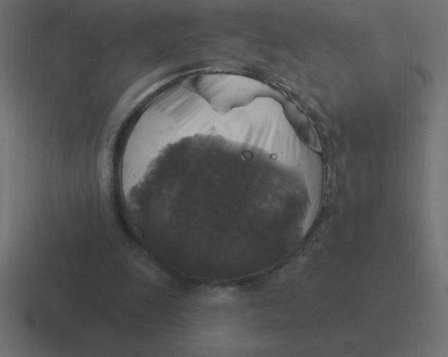 X0000116450247200912291953