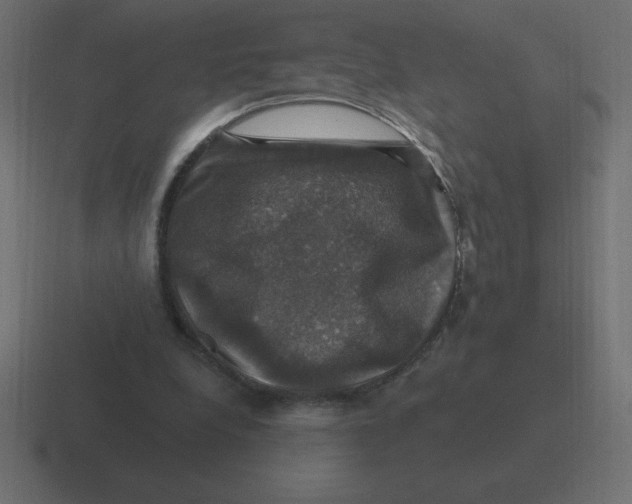 X0000116450248200912291953