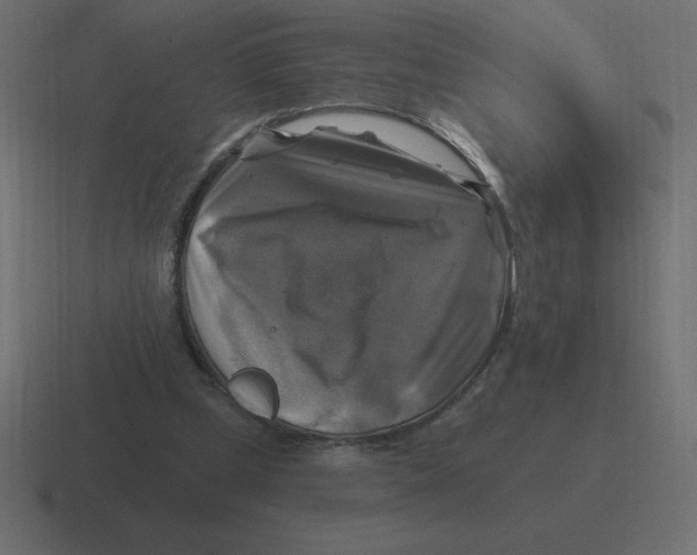 X0000116450249200912291953
