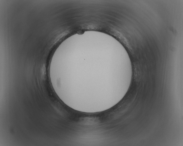 X0000116450251200912291953