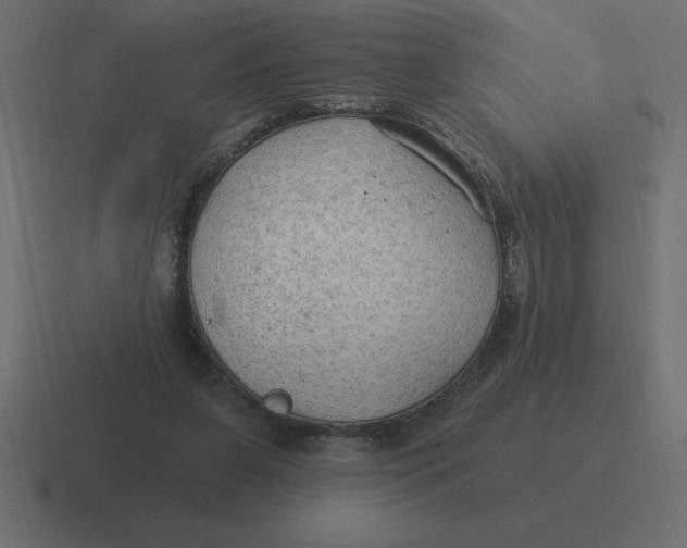 X0000116450255200912291953