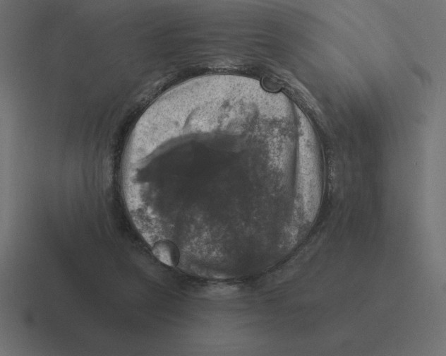 X0000116450257200912291953