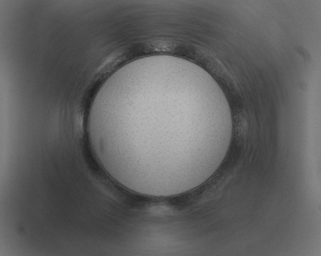 X0000116450262200912291953