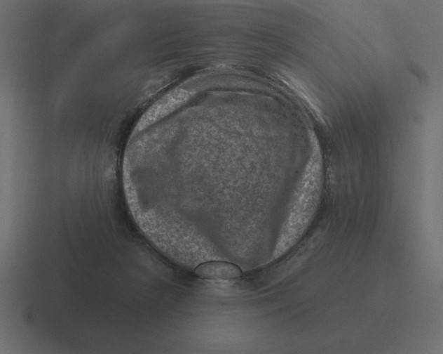 X0000116450265200912291953