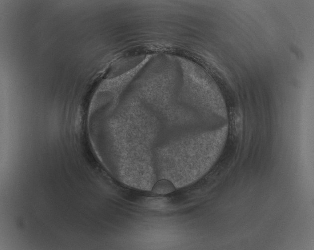 X0000116450266200912291953