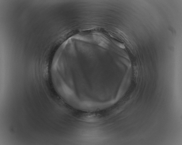 X0000116450267200912291953