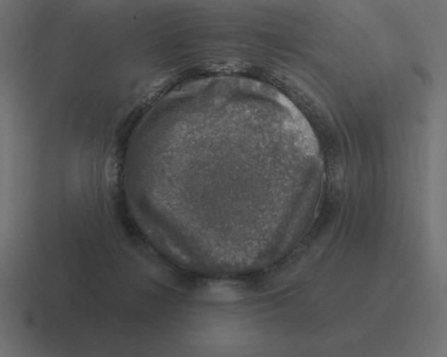 X0000116450268200912291953