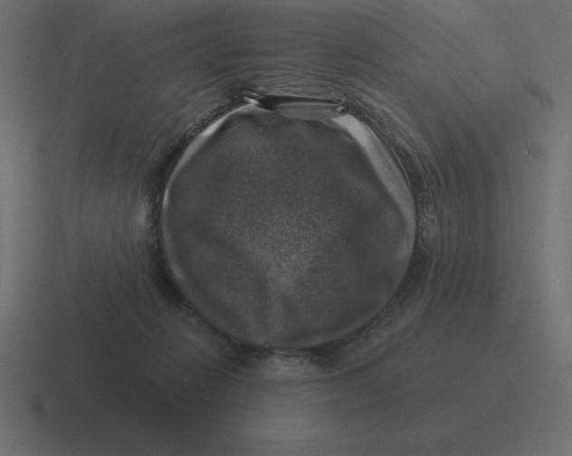 X0000116450270200912291953