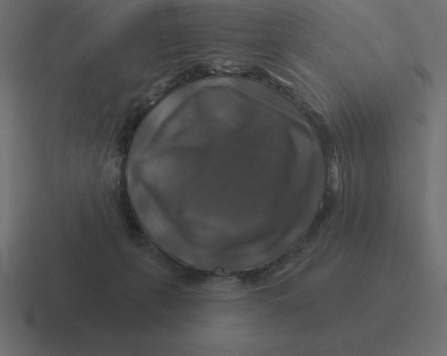 X0000116450271200912291953
