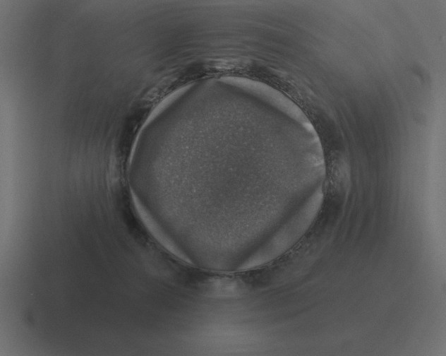 X0000116450272200912291953