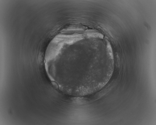 X0000116450273200912291953
