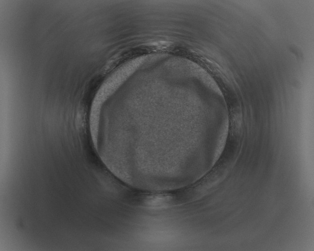 X0000116450274200912291953