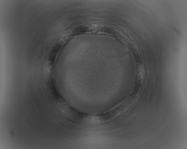 X0000116450276200912291953