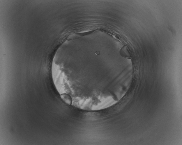 X0000116450277200912291953