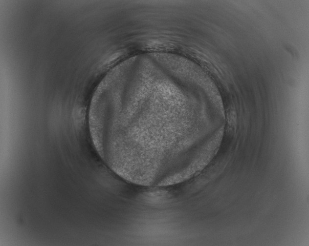 X0000116450278200912291953