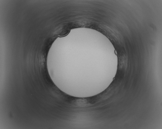 X0000116450279200912291953