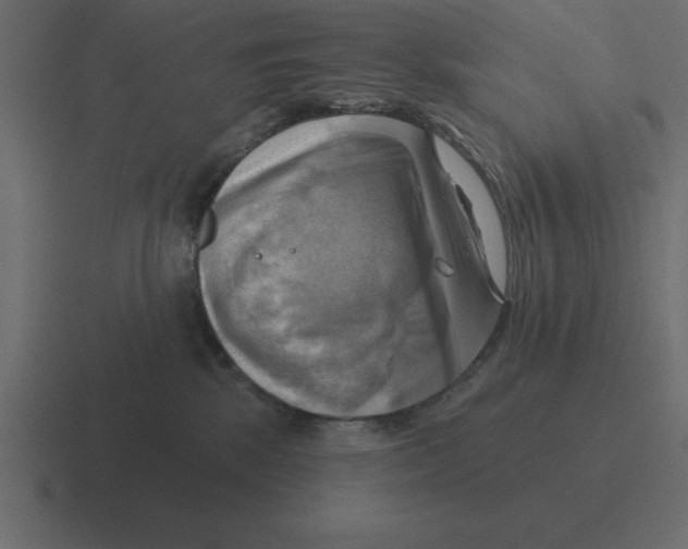X0000116450281200912291953