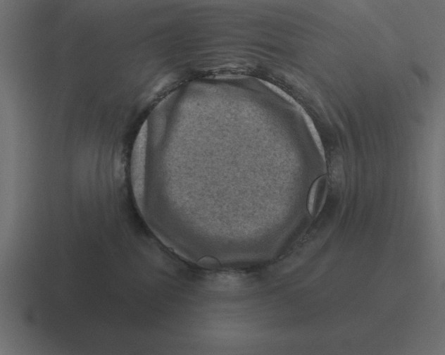 X0000116450282200912291953