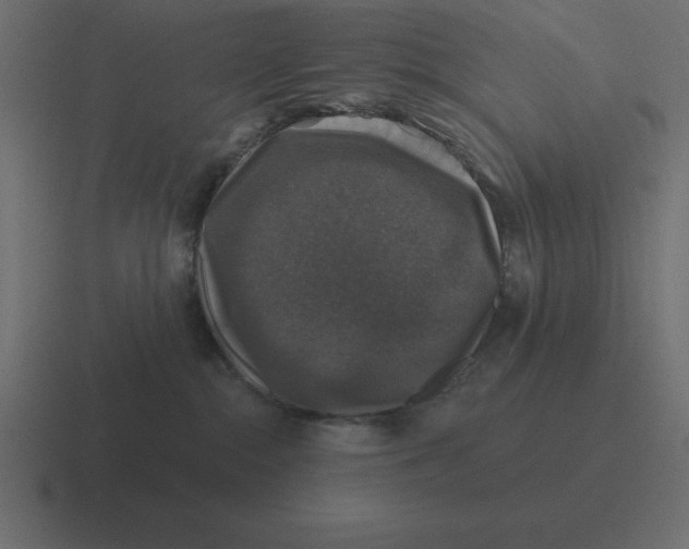 X0000116450284200912291953