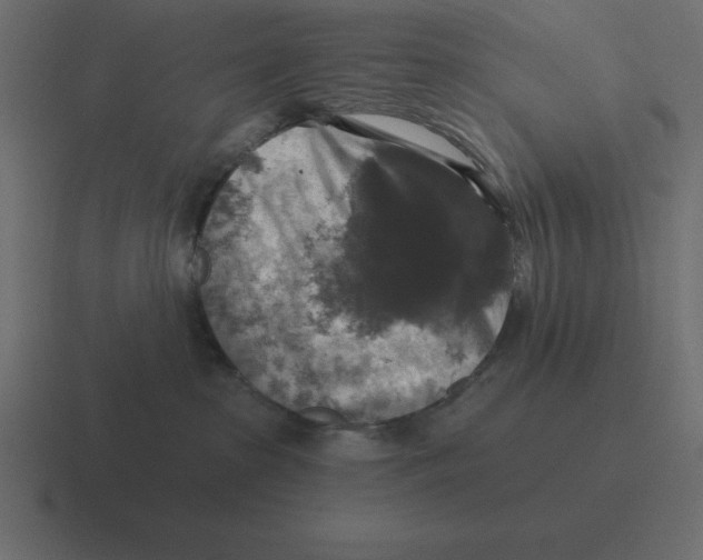 X0000116450285200912291953