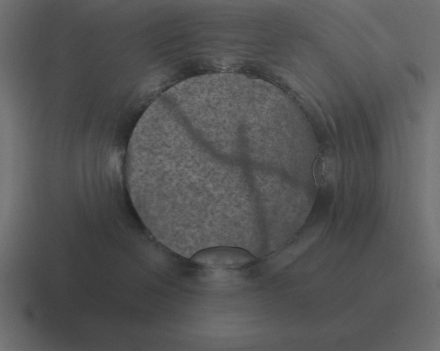 X0000116450286200912291953