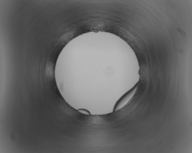 X0000116450287200912291953