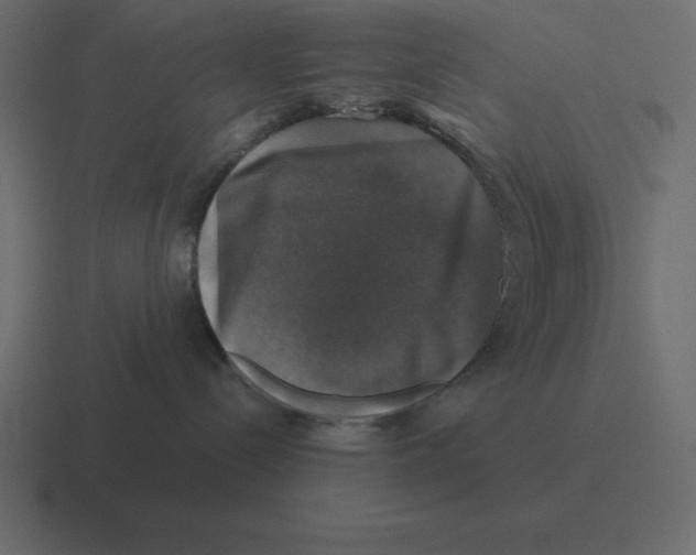 X0000116450288200912291953