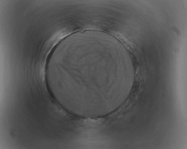 X0000116450290200912291953