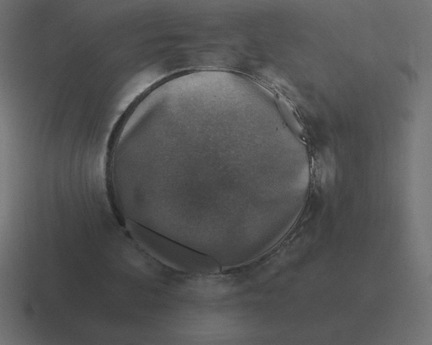 X0000116450292200912291953