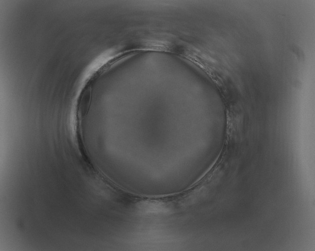 X0000116450294200912291953