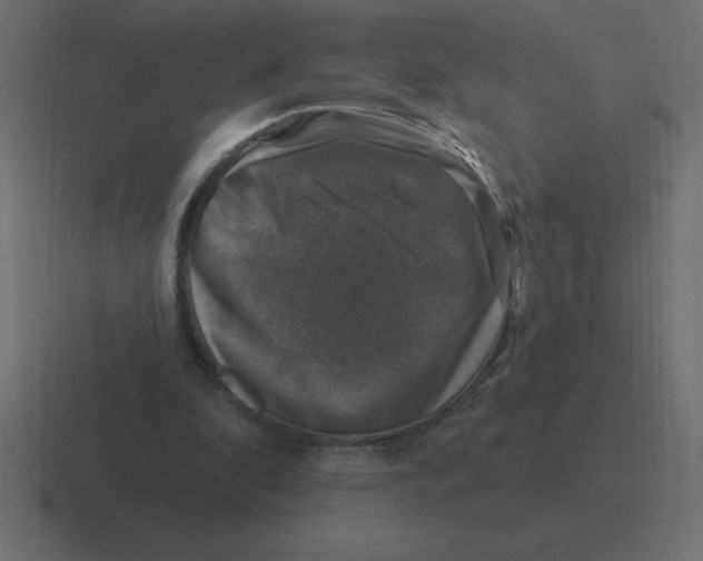 X0000116450296200912291953